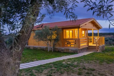 Garden Timber Offices in Ireland: Work from Nature
